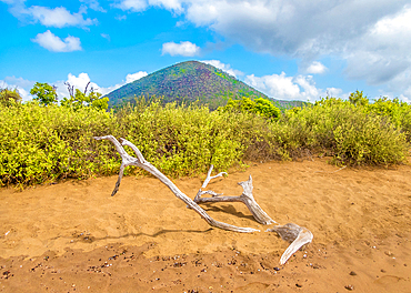 Champion Islet and Cormorant Point, Floreana Island, Galapagos, UNESCO World Heritage Site, Ecuador, South America