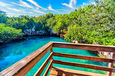 The Blue Hole, a popular destination for swimming, caving and cliff jumping, Blue Hole Park, Hamilton Parish, Bermuda, Atlantic, North America