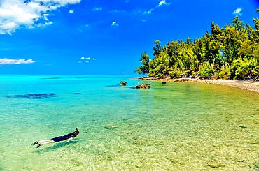 Snorkelling at Glass Beach, Ireland Island South, Somerset, Bermuda, Atlantic, North America