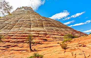 Checkerboard Mesa, a sandstone peak in Kane County, Zion National Park in Utah, USA. The distinctive checkerboard markings are the result of water freezing and expanding on the surface and traces of long disappeared sands. It stands some 900 feet high.