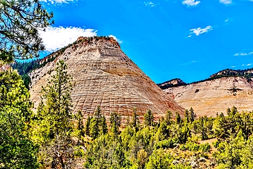 Checkerboard Mesa, a sandstone peak in Kane County, Zion National Park in Utah, USA. The distinctive checkerboard markings are the result of water freezing and expanding on the surface and traces of long disappeared sands. It stands some 900 feet high.