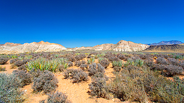 The White Rocks in the north of Snow Canyon State Park near St. George, Southern Utah, United States of America, North America.