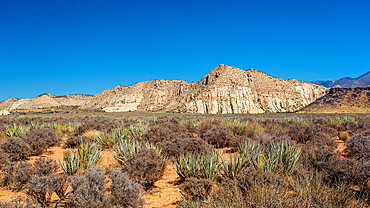 The White Rocks in the north of Snow Canyon State Park near St George, Southern Utah, USA.