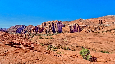 The Red Mountains rising behind the petrified sand dunes at Snow Canyon State Park, Southern Utah, United States of America, North America. Many famous films were made in the park which forms part of the Red Cliffs Desert Reserve.