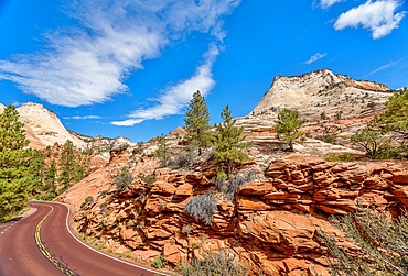 East Zion National Park where Highway 9 winds between the Zion/Mount Carmel Tunnel and the Checkerboard Mesa in Southern Utah, USA.