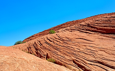 Petrified sand dunes at the White Canyon State Park near St George in Southern Utah. The park opened in 1962 and is located in the Red Cliffs Desert Reserve.