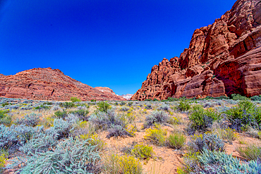 Snow Canyon State Park, near St George, Utah, USA, close to the entrance to Jenny's Canyon, a slot canyon reached by a popular trail