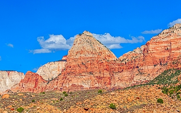 Watchman Mountain, near Springdale, Utah, USA rising over the nearby Zion National Park. The sandstone mountain is 6,545 feet high.