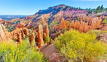 Fairyland Point in Bryce Canyon National Park, Utah, USA. The 7,800 foot high viewpoint overlooks a natural amphitheatre full of hoodoos.