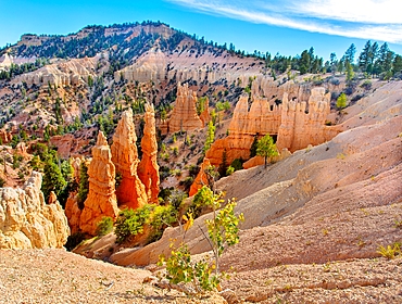 Hoodoos at Bryce Point, Bryce Canyon National Park, Utah, USA