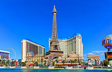 The Paris Las Vegas Hotel & Casino, on The Strip, Las Vegas, Nevada, USA. It features a half scale Eiffel Tower replica. The hotel opened in 1999 and features 10 restaurants.