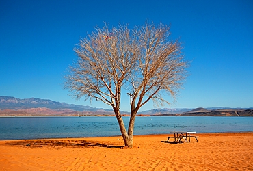 The reservoir at Sand Hollow State Park in Utah, USA, a popular venue for boating, cycling and off road driving. The park covers some 20,000 acres and opened in 2003.