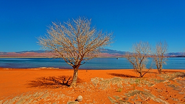 The reservoir at Sand Hollow State Park in Utah, USA, a popular venue for boating, cycling and off road driving. The park covers some 20,000 acres and opened in 2003.