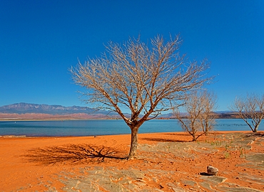 The reservoir at Sand Hollow State Park in Utah, USA, a popular venue for boating, cycling and off road driving. The park covers some 20,000 acres and opened in 2003.