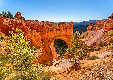 The Natural Bridge Arch at Bryce Canyon National Park, Utah, USA. It was carved out of the sandstone by the effects of rain, frost and wind. It is situated between Agua Canyon and Fairview Point and is one of the most iconic sights in the Park.