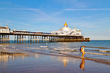 Walkers on the beach by Eastbourne Pier at sunset, Eastbourne, East Sussex, England, United Kingdom, Europe