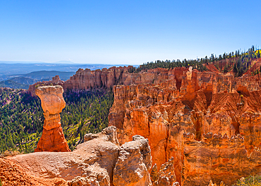 The famous Hunter and Rabbit Hoodoos at Agua Canyon, Bryce Canyon National Park, Utah. The Hunter is on the left and the Rabbit the lighter coloured rock on the right. Hoodoos are pinnacles of rock shaped by wind, rain and erosion.