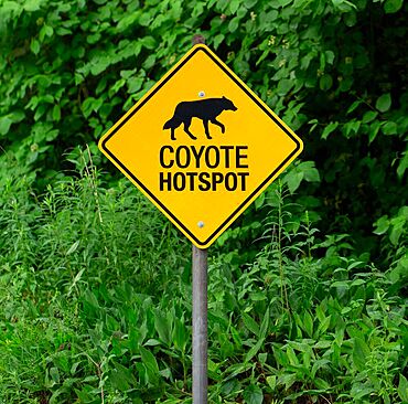 Coyote Hotspot warning sign, High Park, Toronto, Ontario, Canada