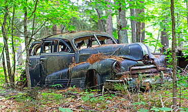 Remains of a 1947 Pontiac Torpedo Silver Streak car on Francis Island, Georgian Bay, Ontario, Canada. The island has no roads.