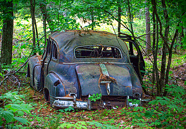 Remains of a 1947 Pontiac Torpedo Silver Streak car on Francis Island, Georgian Bay, Ontario, Canada. The island has no roads.