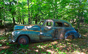 Remains of a 1947 Pontiac Torpedo Silver Streak car on Francis Island, Georgian Bay, Ontario, Canada. The island has no roads.