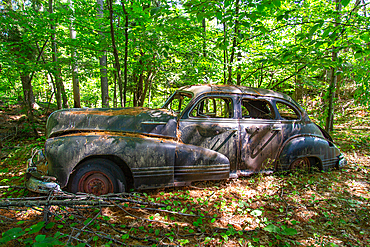 Remains of a 1947 Pontiac Torpedo Silver Streak car on Francis Island, Georgian Bay, Ontario, Canada. The island has no roads.