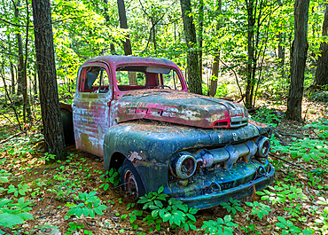 Remains of a 1940s Ford F series pickup truck on Francis Island, Georgian Bay, Ontario, Canada. The island has no roads.