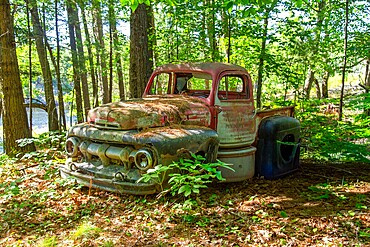 Remains of a 1940s Ford F series pickup truck on Francis Island, Georgian Bay, Ontario, Canada. The island has no roads.