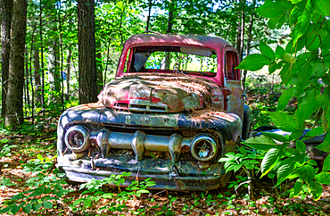 Remains of a 1940s Ford F series pickup truck on Francis Island, Georgian Bay, Ontario, Canada. The island has no roads.