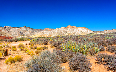 The White Rocks in the north of Snow Canyon State Park near St. George, Southern Utah, United States of America, North America