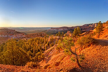 Sunrise at Sunrise Point, Bryce Canyon National Park, Utah, USA. One of four viewpoints that overlook the natural Bryce Amphitheatre. It provides a good view of the famous hoodoos or pinnacles of rock formed by weathering.