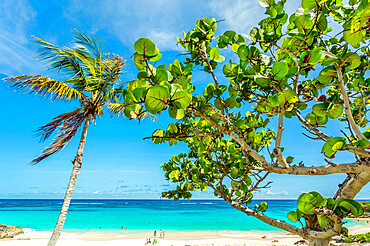 John Smith's Bay, Smiths, Bermuda, Atlantic, Central America