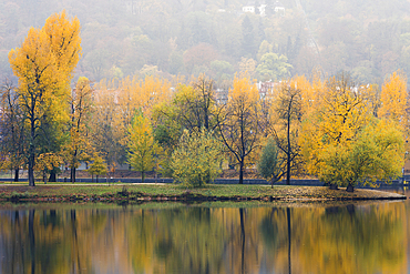 Reflections of colorful trees on Shooters Island (Strelecky ostrov) on Vltava River in autumn, Prague, Czech Republic (Czechia), Europe