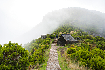 Woman trekking on trail to Pico Ruivo in foggy weather, Santana, Madeira, Portugal, Atlantic, Europe