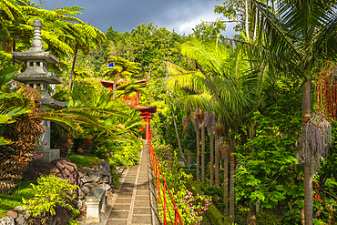 Oriental Gardens, Monte Palace Tropical Garden, Funchal, Madeira, Portugal, Atlantic, Europe