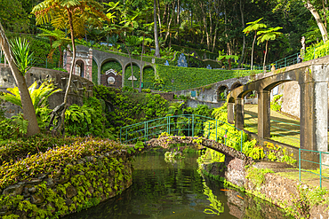 Footbridge at Monte Palace Tropical Garden, Funchal, Madeira, Portugal, Atlantic, Europe