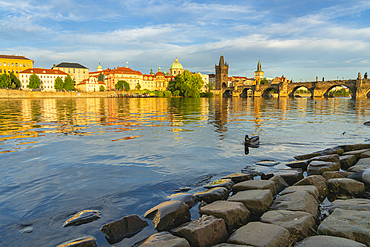 Charles Bridge at sunset, UNESCO World Heritage Site, Prague, Bohemia, Czech Republic (Czechia), Europe