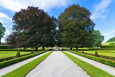 Trees in Zamecky Park (The Castle Garden), Cesky Krumlov, South Bohemian Region, Czech Republic (Czechia), Europe