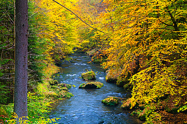 Kamenice river in autumn, Bohemian Switzerland National Park, Hrensko, Decin District, Usti nad Labem Region, Czech Republic