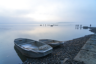 Rowing boats on shore  with fishermen in background preparing for fish harvest on foggy morning, Rozmberk Pond, UNESCO Biosphere, Trebon, Jindrichuv Hradec District, South Bohemian Region, Czech Republic (Czechia), Europe