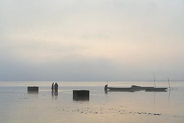 Fishermen preparing for fish harvest on foggy morning, Rozmberk Pond, UNESCO Biosphere, Trebon, Jindrichuv Hradec District, South Bohemian Region, Czech Republic (Czechia), Europe