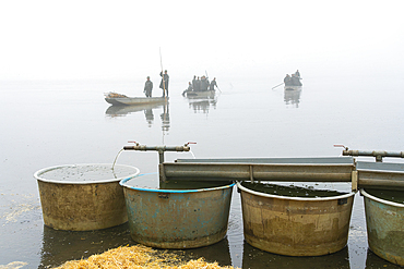 Equipment ready for fish harvest on Rozmberk Pond with fishermen on boats in background, UNESCO Biosphere, Trebon, Jindrichuv Hradec District, South Bohemian Region, Czech Republic (Czechia), Europe