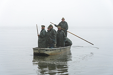 Group of fishermen on boat preparing for fish harvest on foggy morning, Rozmberk Pond, UNESCO Biosphere, Trebon, Jindrichuv Hradec District, South Bohemian Region, Czech Republic (Czechia), Europe