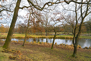 Pond and trees in Stromovka Park in winter, Bubenec, Prague, Czech Republic (Czechia), Europe