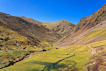 Valley in the Andes, near Rainbow Mountain, Pitumarca District, Cusco (Cuzco) Region, Peru, South America