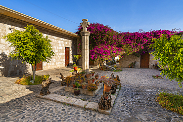 Garden at Monasterio y Museo de la Recoleta, UNESCO World Heritage Site, Arequipa, Arequipa Province, Arequipa Region, Peru, South America