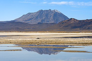 Ubinas volcano reflected in a pool at salt flats, Salinas y Aguada Blanca National Reserve, Arequipa Province, Arequipa Region, Peru, South America