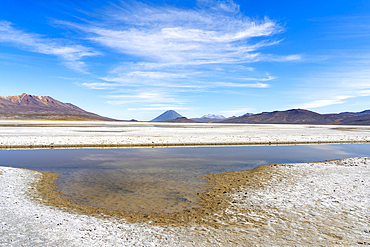 Reflection pool on salt flats and distant views of El Misti and Chachani volcanoes, Salinas y Aguada Blanca National Reserve, Arequipa Province, Arequipa Region, Peru, South America