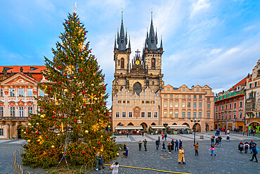 Christmas tree at Old Town Square with Church of Our Lady before Tyn, UNESCO, Old Town of Prague, Prague, Czech Republic