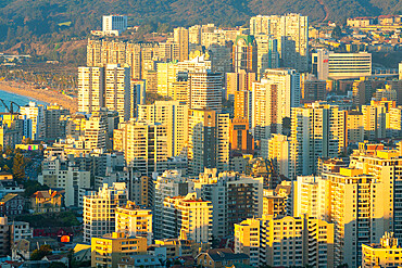 High-rise buildings of Vina del Mar at sunset, Vina del Mar, Chile